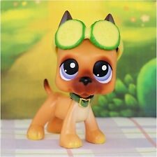 LPS Toy Lot LPS Cat and Dog Random 3PC LPS Pets and 7PC LPS Accessories Lot  Rare